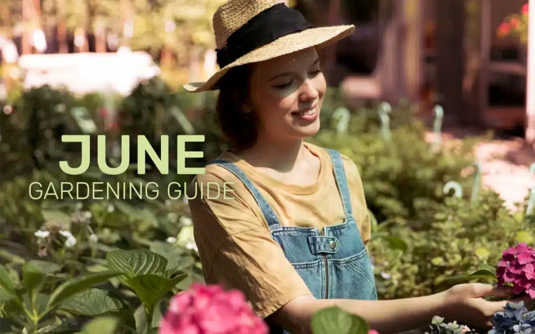 June Gardening Guide: Blooming, Watering, and Welcoming Summer in Style