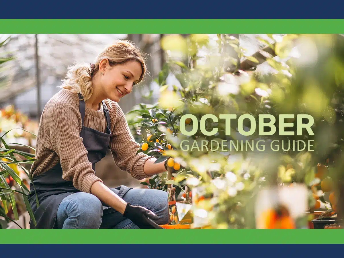 October Gardening Guide- Prepare, Protect, and Plant for a Thriving Garden October Gardening Guide- Prepare, Protect, and Plant for a Thriving Garden