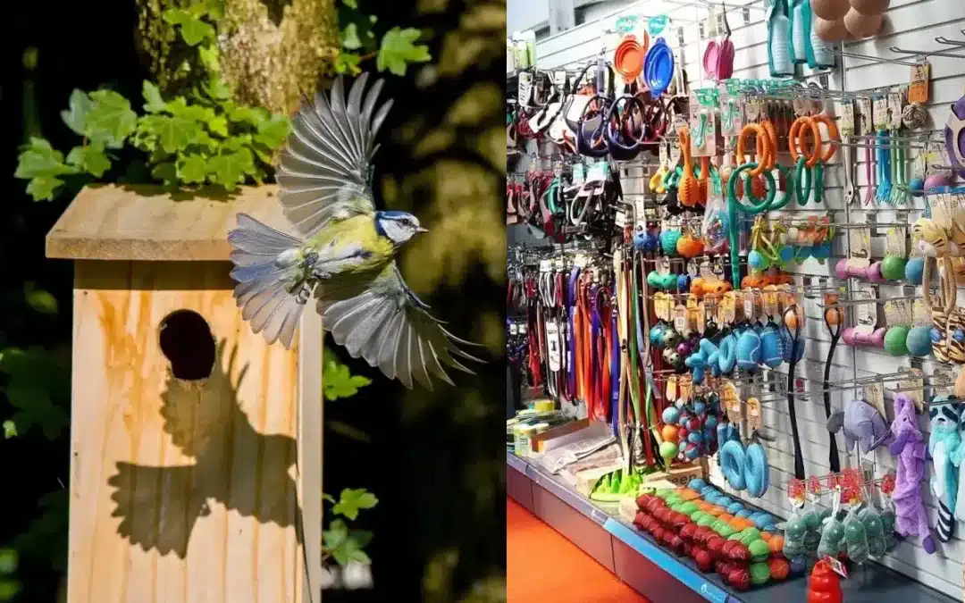 Bird and Pet Care Essentials That Make a Difference