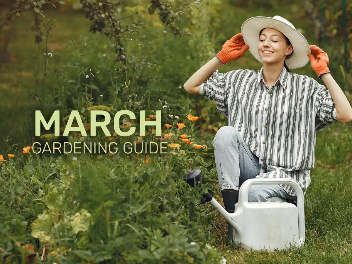 March Gardening Guide- Sowing, Soil Prep, and Spring Surprises March Gardening Guide- Sowing, Soil Prep, and Spring Surprises