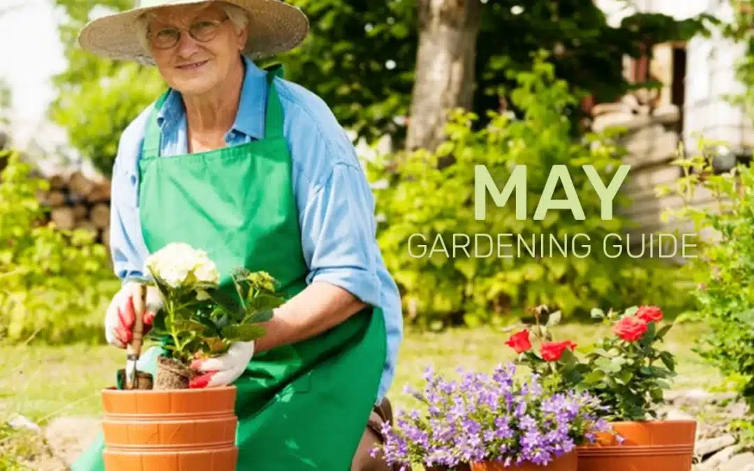 May Gardening Guide: Planting, Pruning, and Preparing for a Blooming Summer
